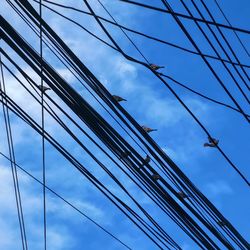 Low angle view of cables against blue sky