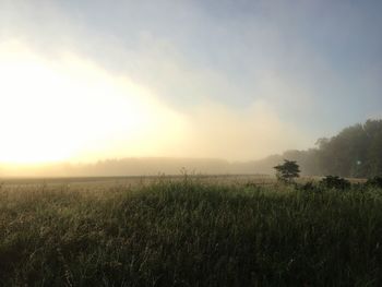 Scenic view of field against sky during sunset