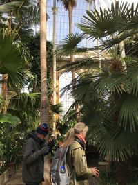 People standing on palm tree