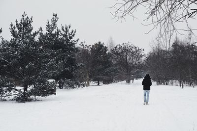 Bare trees on snow covered landscape