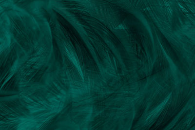 Beautiful dark green viridian vintage color trends feather texture background