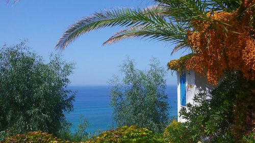 Scenic view of sea against clear blue sky