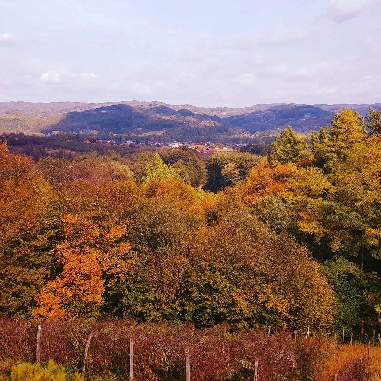 autumn, change, beauty in nature, nature, tree, scenics, tranquility, tranquil scene, sky, no people, mountain, outdoors, day, leaf, growth, landscape, cloud - sky, water