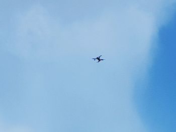 Low angle view of airplane flying in sky