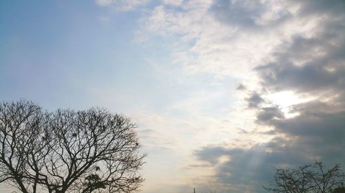 Low angle view of bare tree against sky