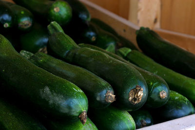 Close-up of green chili peppers in market