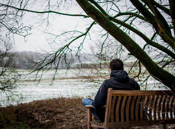 Rear view of woman sitting on tree