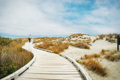 Boardwalk amidst plants on land against sky