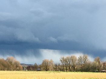 Scenic view of field against sky