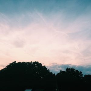 Low angle view of silhouette trees against sky