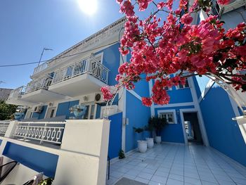 Low angle view of blue greek building with red blossoms on a tree