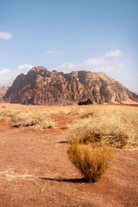 Red desert in northern saudi arabia taken in january 2022