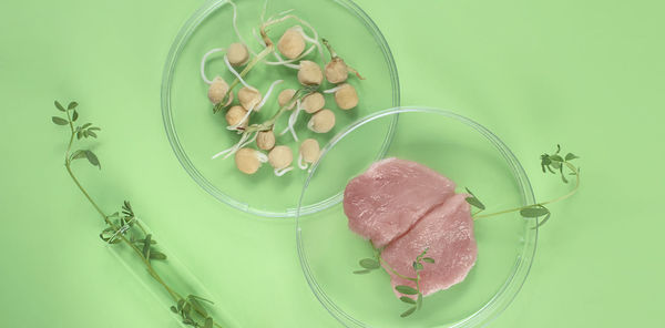 High angle view of lemon in plate on table