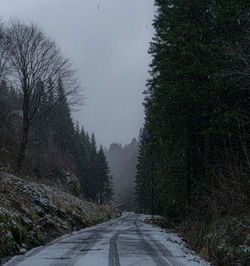 Road amidst trees against sky during winter