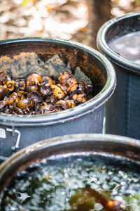 High angle view of food in container