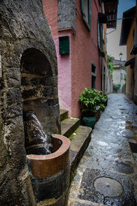 Close-up of potted plants against old building