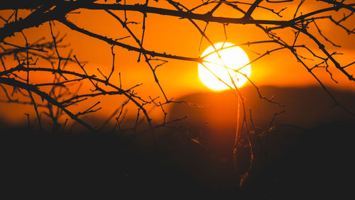 Silhouette trees against romantic sky at sunset