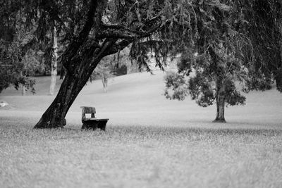 Park bench on field