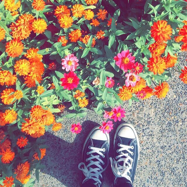 low section, person, shoe, flower, personal perspective, high angle view, standing, human foot, yellow, leaf, footwear, freshness, growth, autumn, fragility, nature, directly above