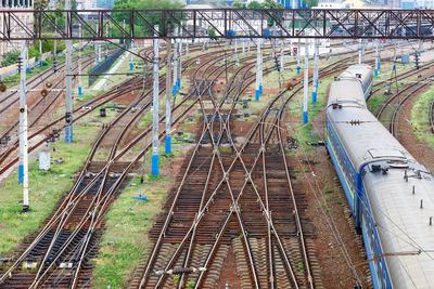 High angle view of railroad tracks amidst plants