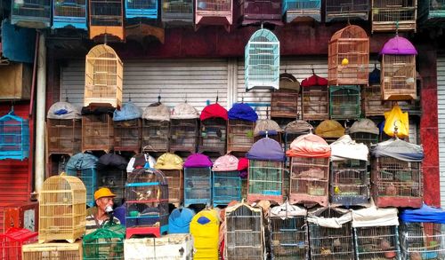 Man sitting amidst multi colored birdcages at store