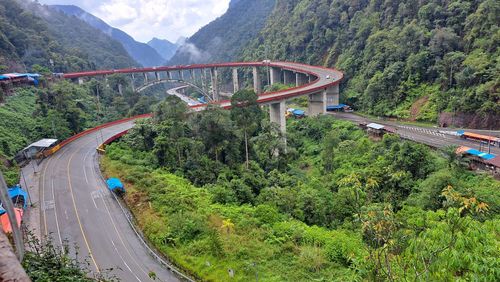 High angle view of road amidst trees