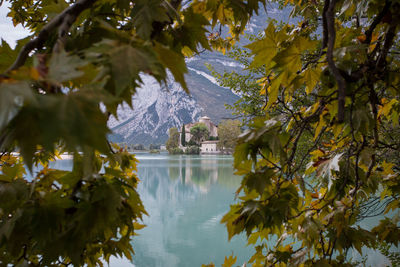 Reflection of trees in lake during autumn