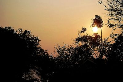 Silhouette trees against sky during sunset