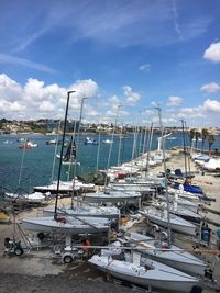 Sailboats moored at harbor