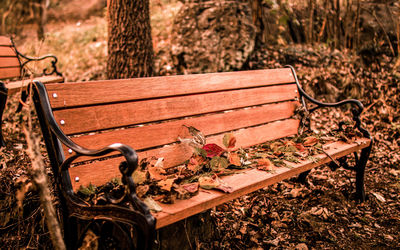 Empty bench in park