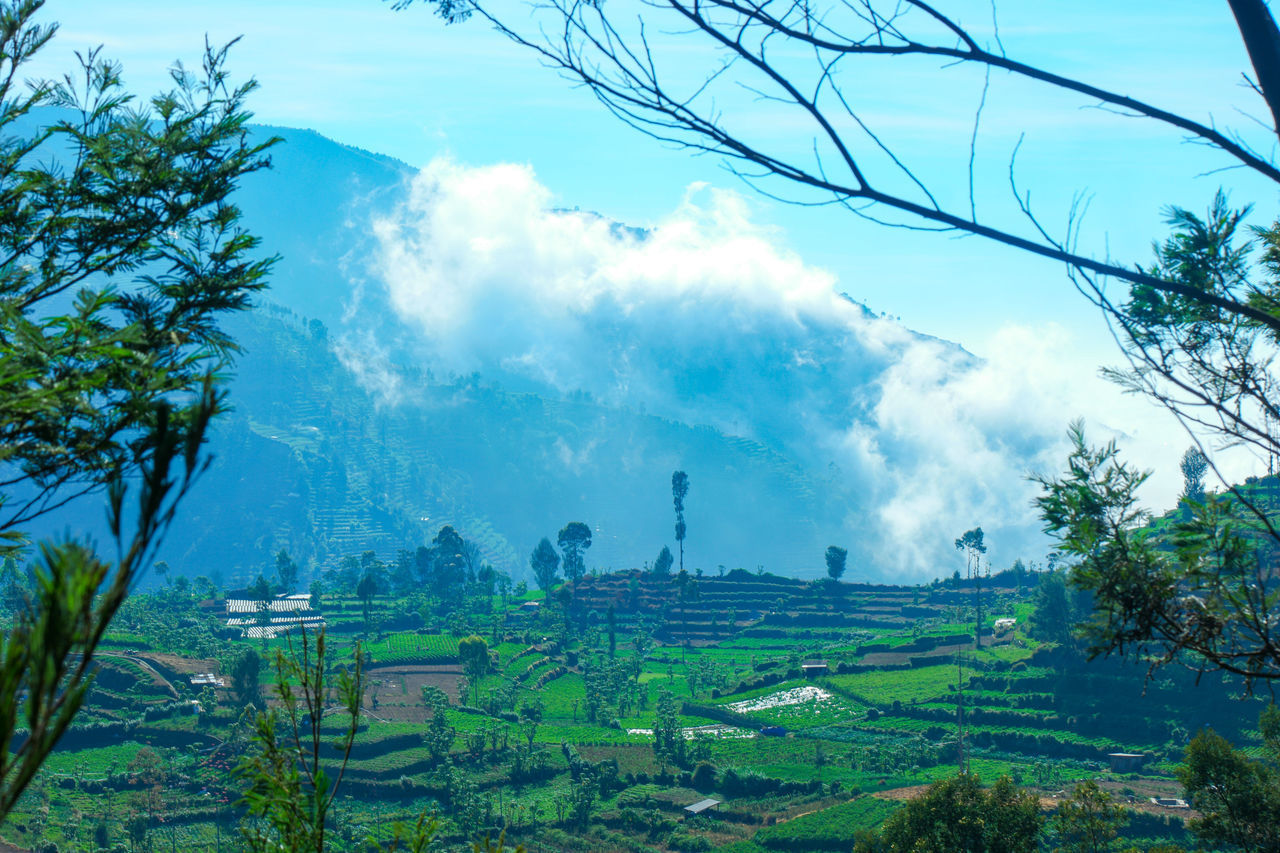 PANORAMIC VIEW OF FARM AGAINST SKY