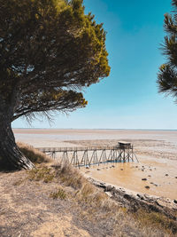 Scenic view of beach against sky