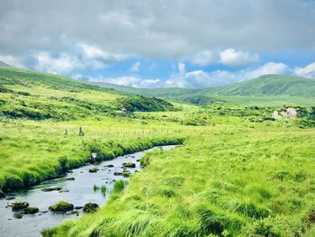 River along muckross abbey a scenic view of landscape against sky