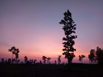 Silhouette tree on field against sky during sunset