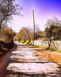 Road amidst bare trees against clear sky