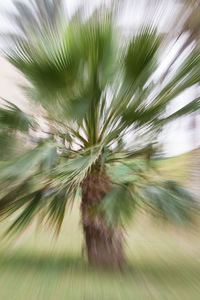 Full frame shot of leaf