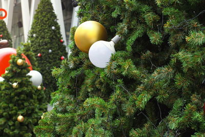 Christmas decoration hanging on tree