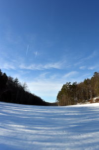 Trees on snow covered land against blue sky