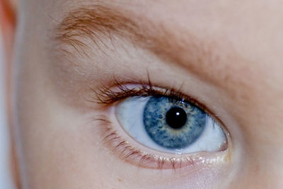 Close-up portrait of human eye