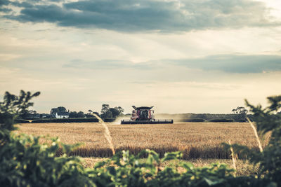 Agricultural field against sky