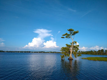 Scenic view of lake against blue sky