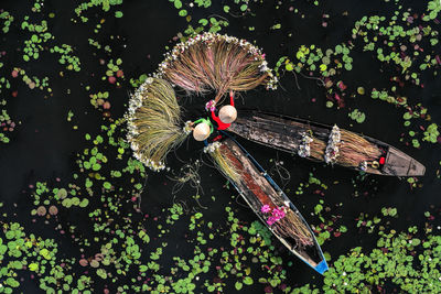 Directly above shot of tourists with water lily in lake