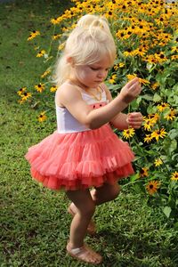 Cute girl picking flower while standing on grassy field