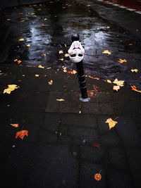 High angle view of child standing on footpath during autumn