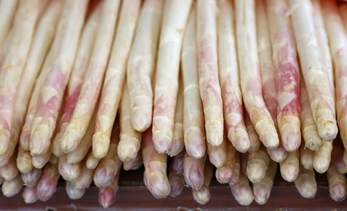 Close-up of asparagus