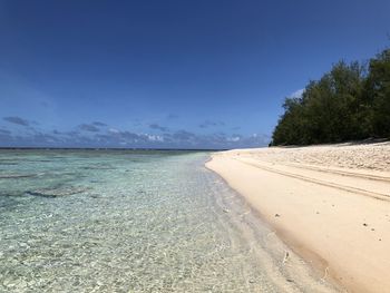 Scenic view of beach against blue sky