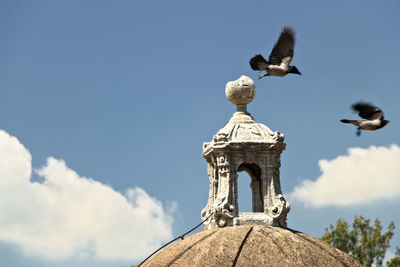 Low angle view of seagull flying against sky