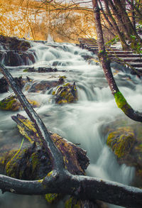 Scenic view of waterfall in forest