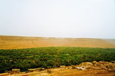 Scenic view of agricultural field against clear sky