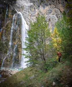 Scenic view of waterfall in forest
